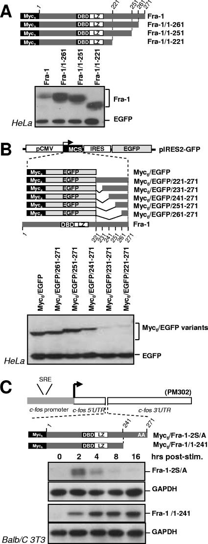 FIG. 7.