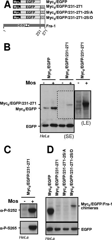 FIG. 10.