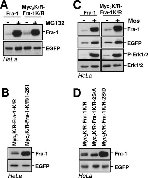 FIG. 9.