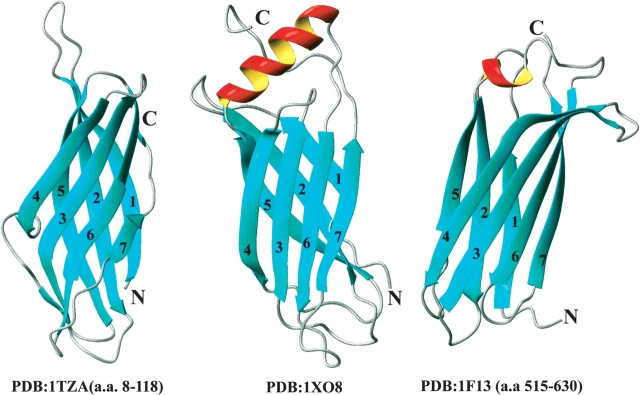 Figure 4.