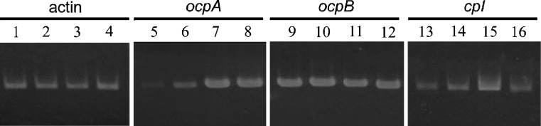 Fig. 7