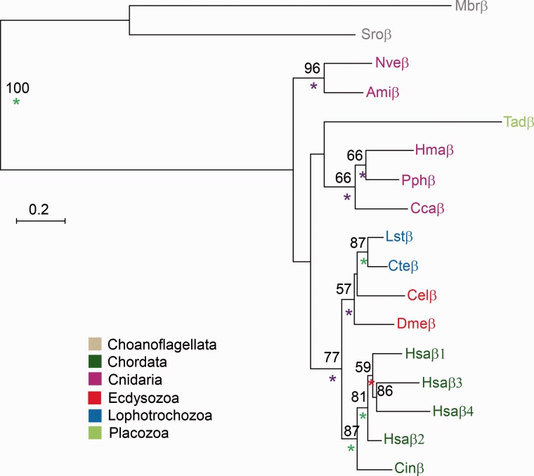 Fig. 6.—