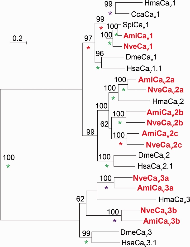 Fig. 3.—