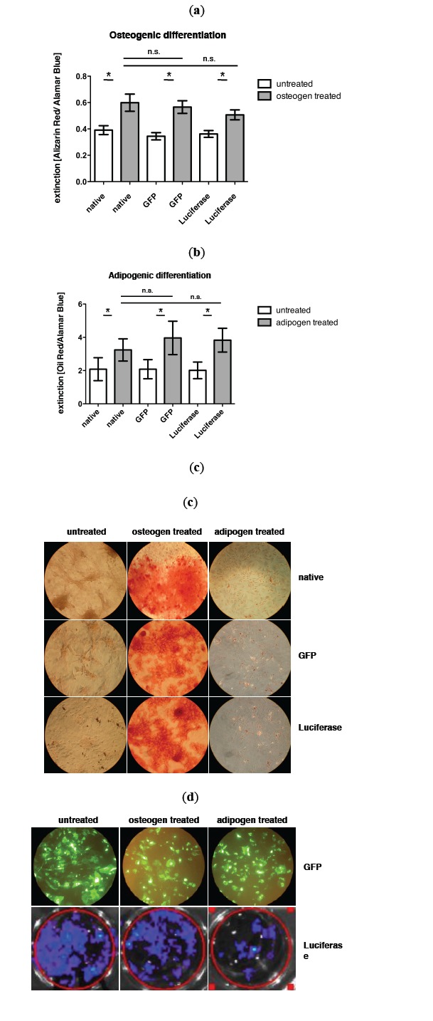 Fig. (1)