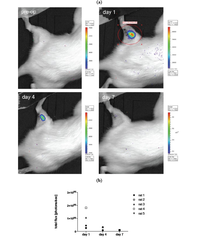 Fig. (4)