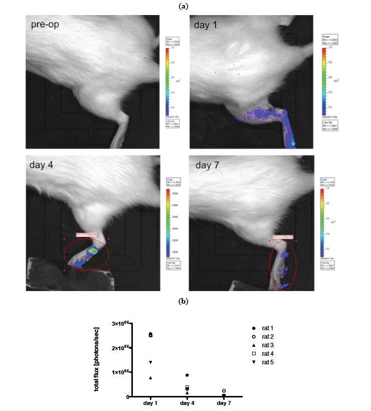 Fig. (5)