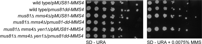 Fig 16