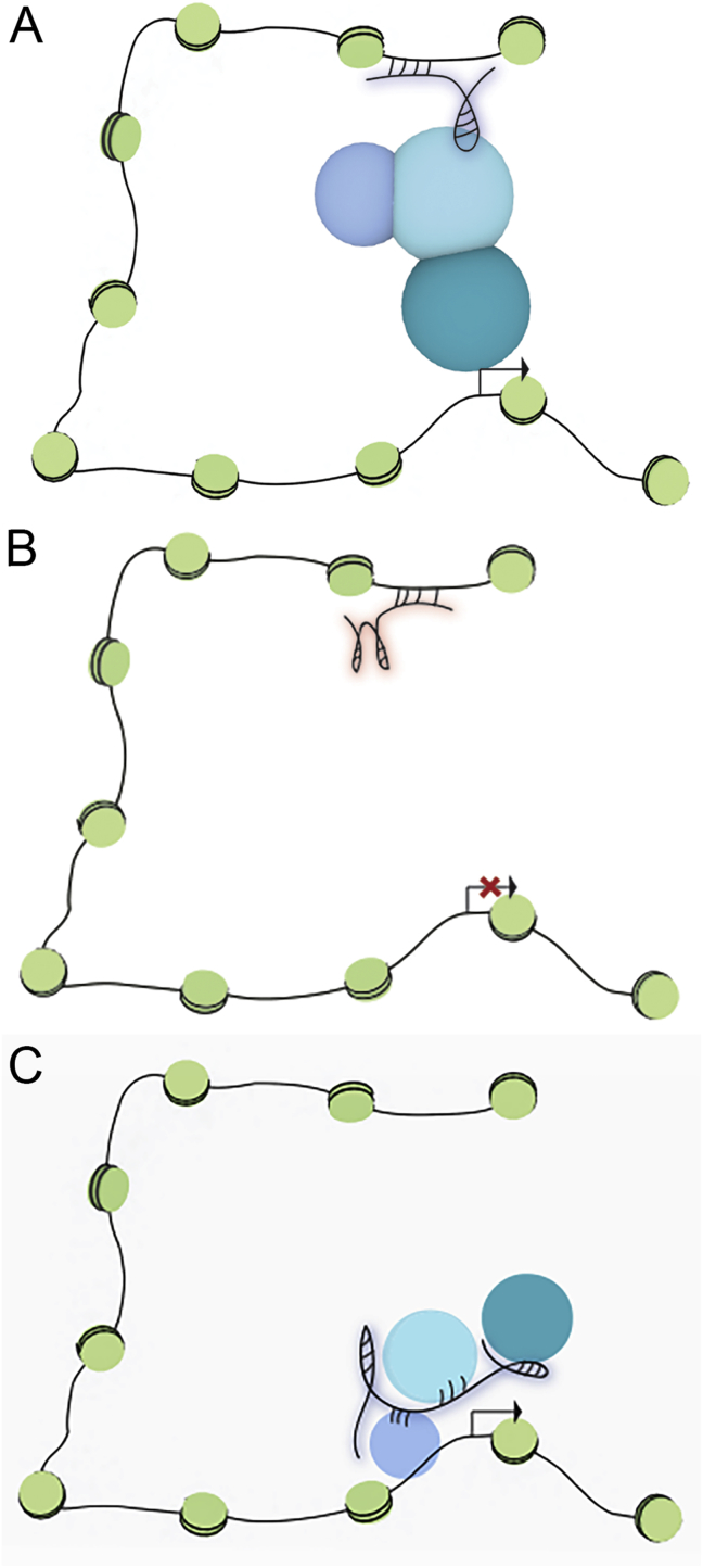 Figure 2