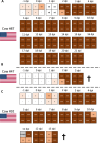 Extended Data Fig. 4 |