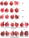 Extended Data Fig. 10 |