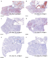 Extended Data Fig. 7 |