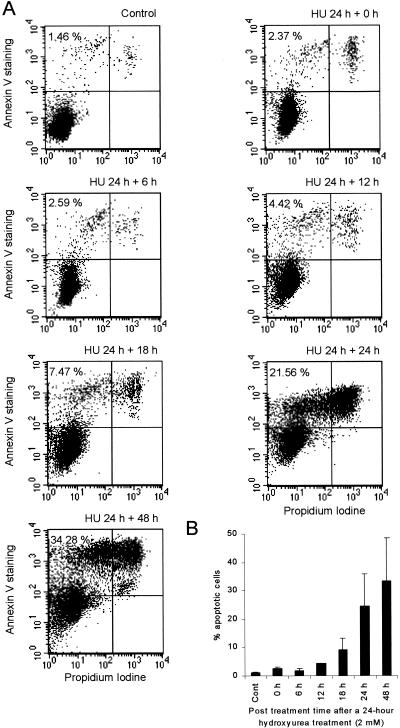 FIG. 7.