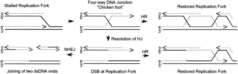 FIG. 8.