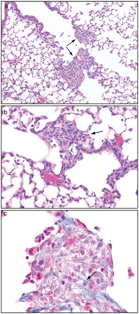 FIG. 7