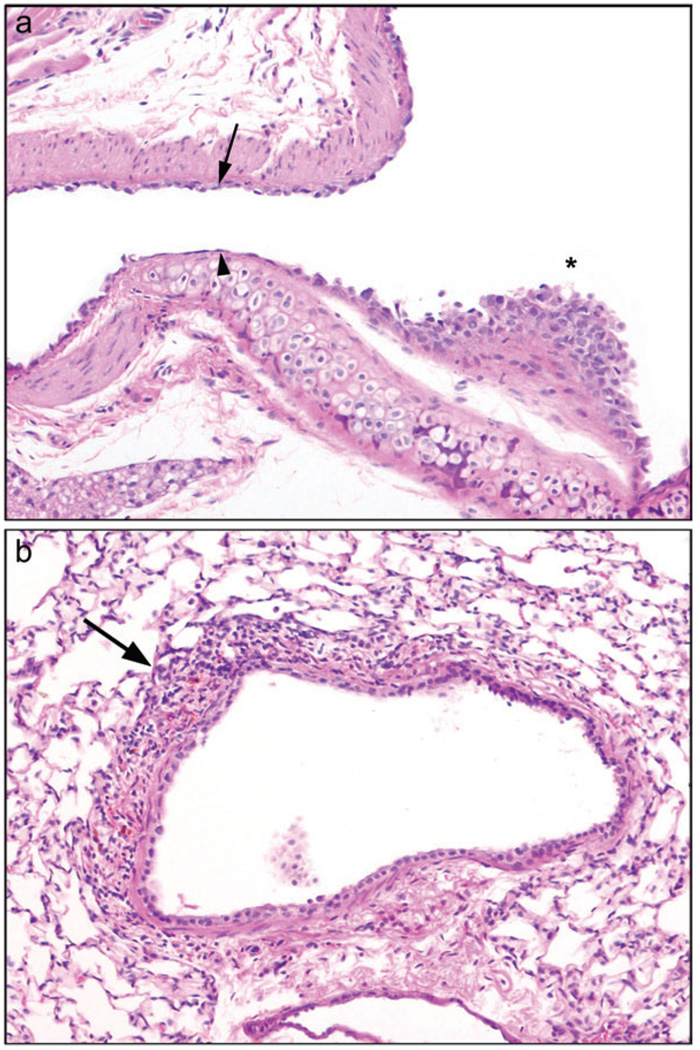 FIG. 6