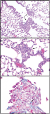 FIG. 7