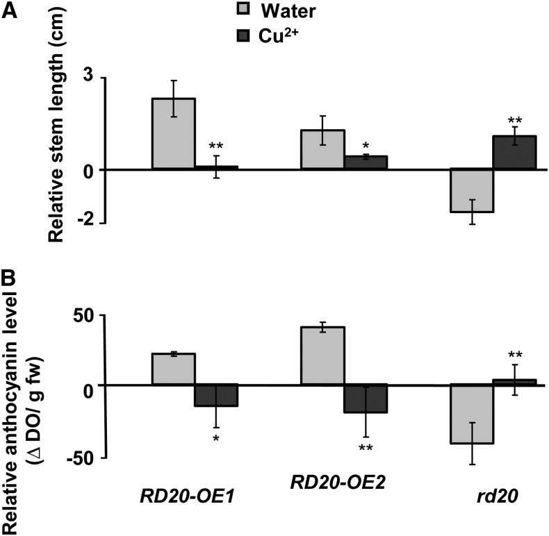 Figure 10.