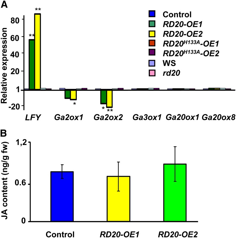 Figure 5.