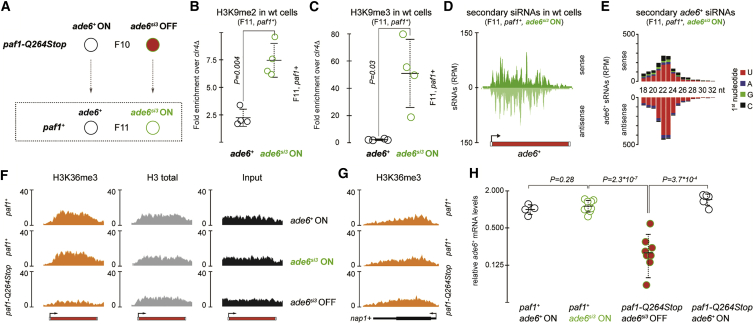 Figure 2