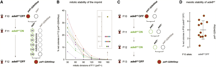 Figure 3