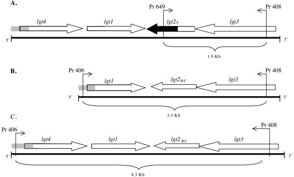 FIG. 1.