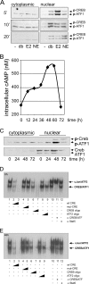 FIG. 7.