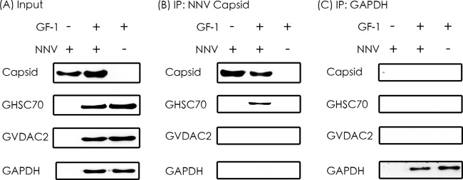 FIG 5