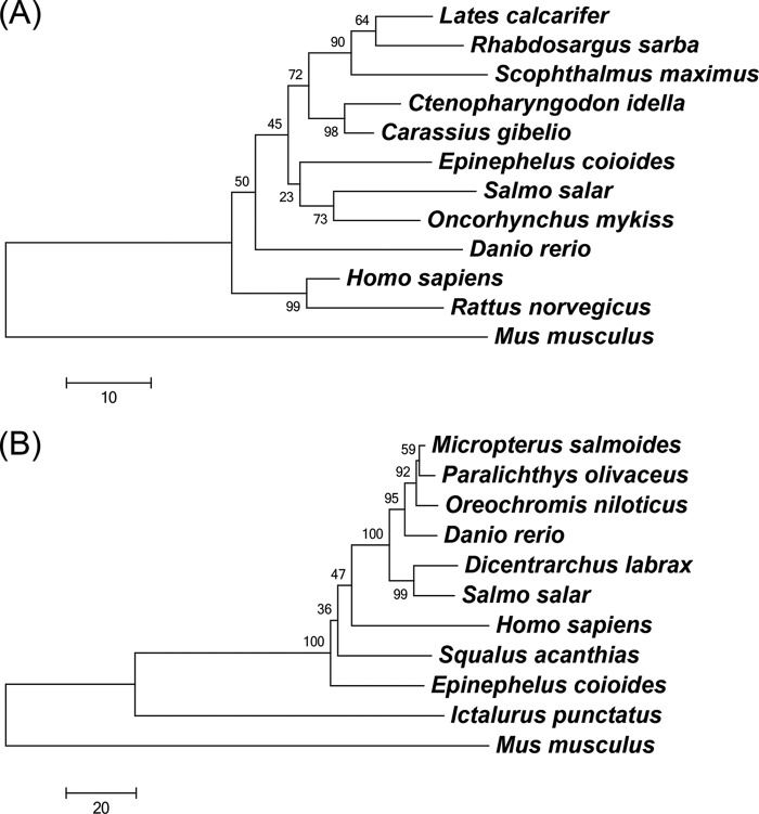 FIG 2