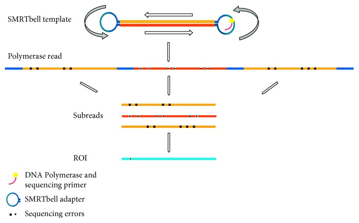 Figure 7