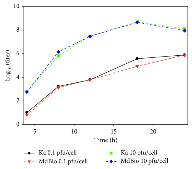 Figure 4