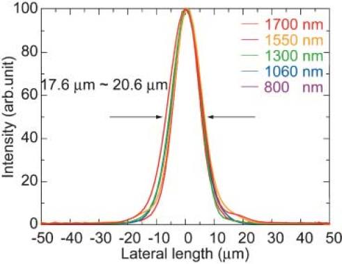 Fig. 4