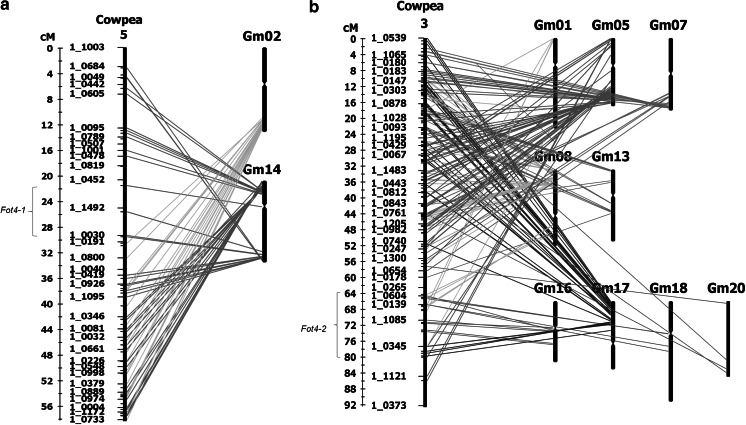 Fig. 3