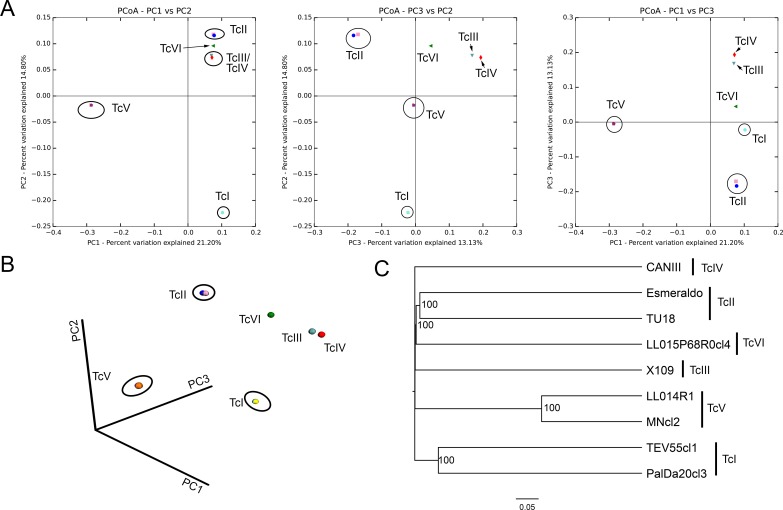 Fig 3