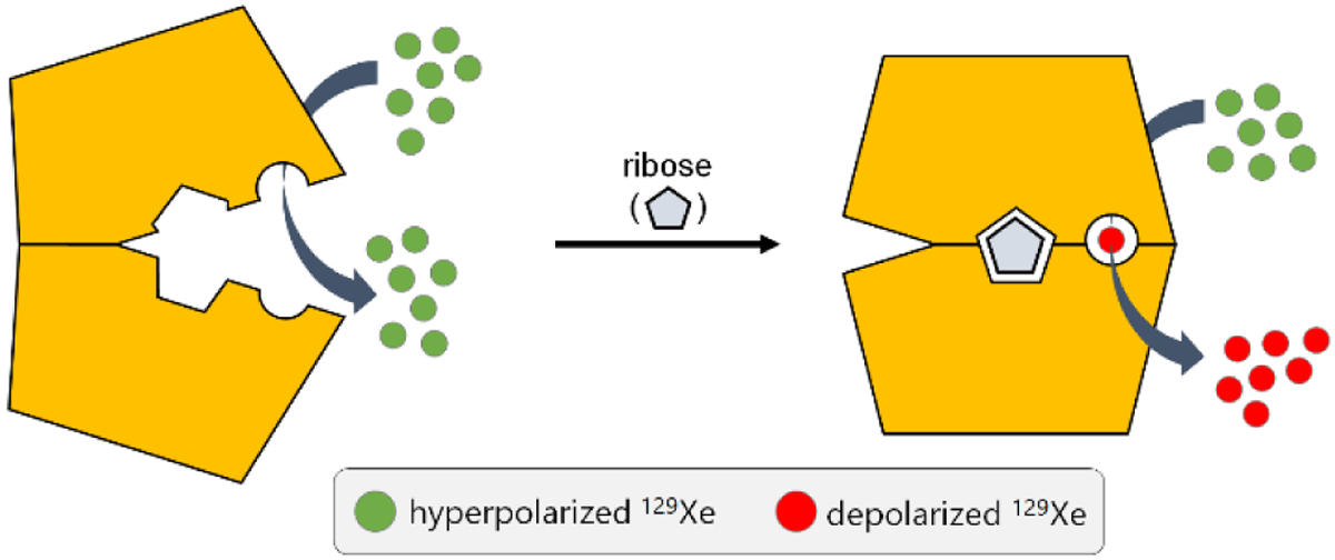 Scheme 1.