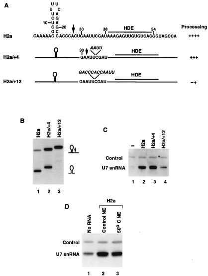 FIG. 6