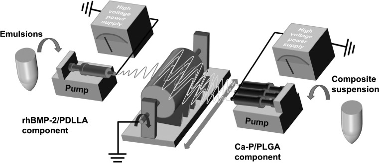 Fig. 1