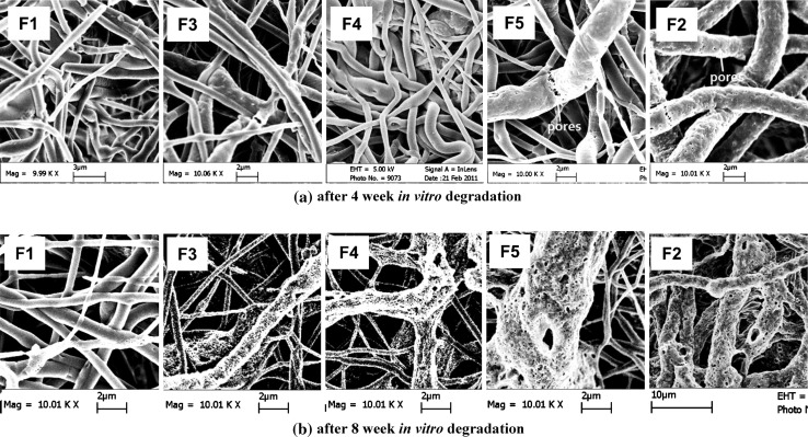 Fig. 10