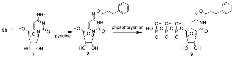 Scheme 2