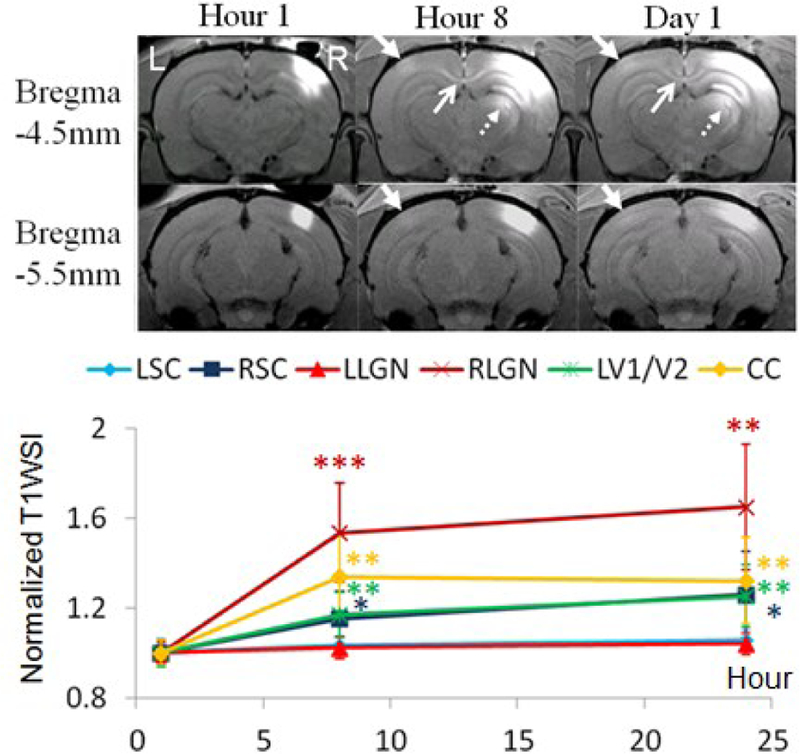 Fig. 3