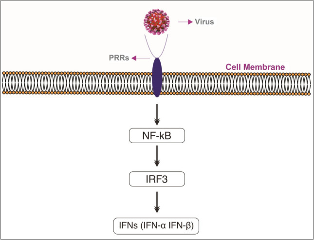 Fig. 2