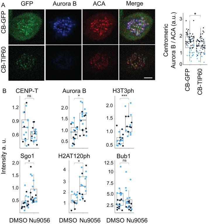 FIGURE 4: