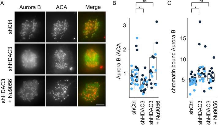 FIGURE 5: