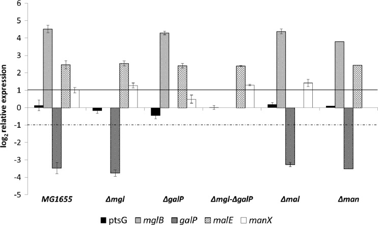 Fig 7