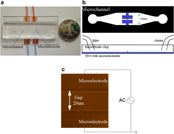 Fig. 2