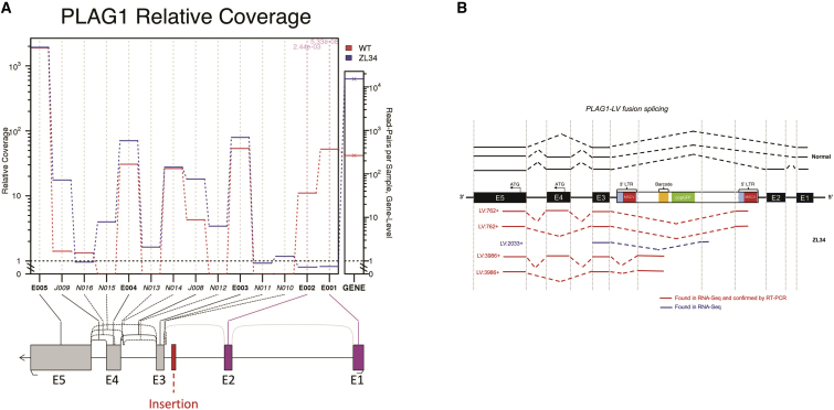 Figure 5