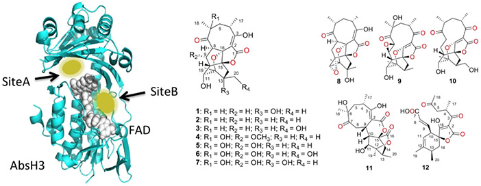 Figure 2.