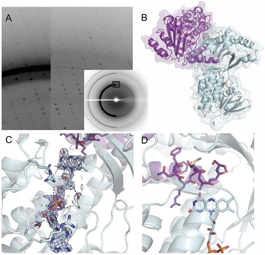 Figure 1.