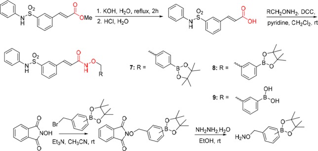 Scheme 1