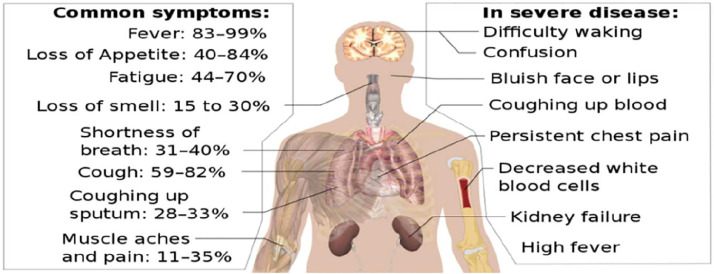 Figure 2: