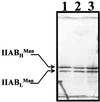 FIG. 7